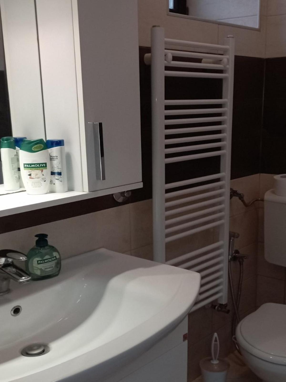 Hansa Apartment サラエヴォ エクステリア 写真